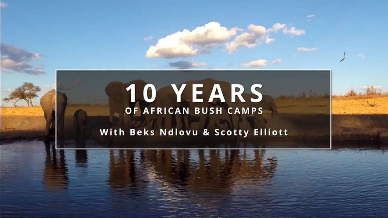 10 Years of African Bush Camps with Beks Ndlovu and Scotty Elliot