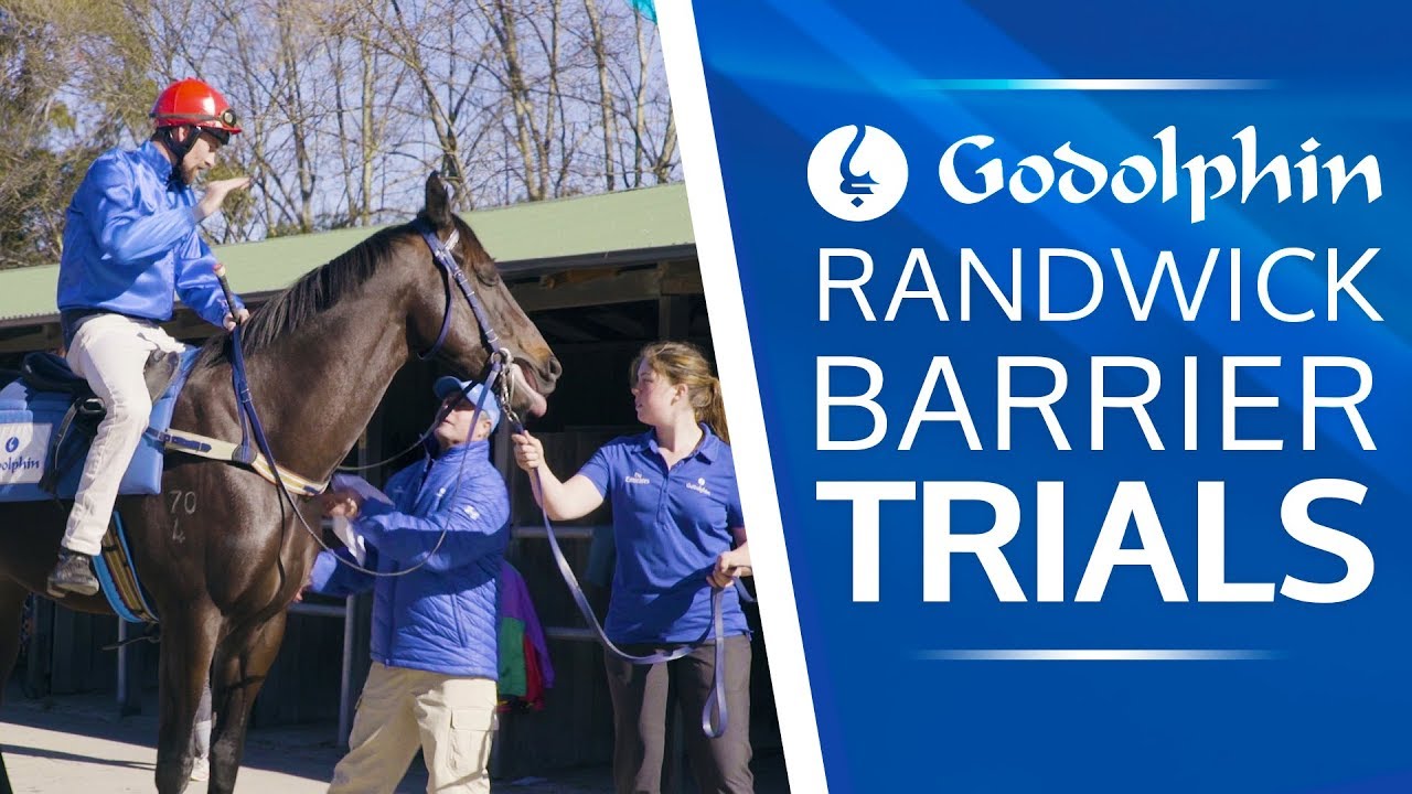 James Cummings' A-list string Barrier Trial at Randwick