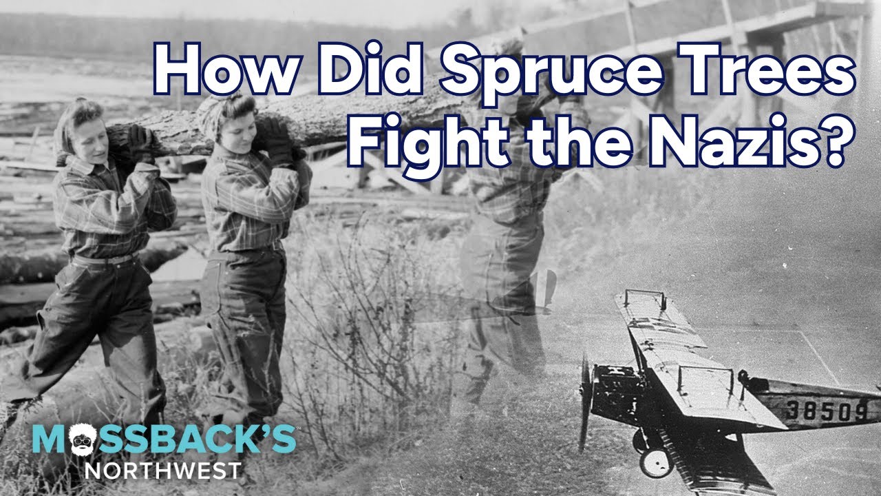 How Did Spruce Trees Fight the Nazis? | Mossback's Northwest