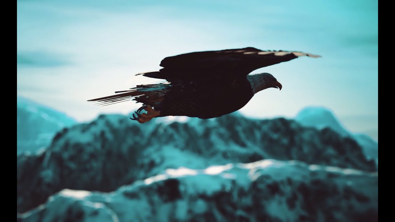 La Mentalidad del Águila