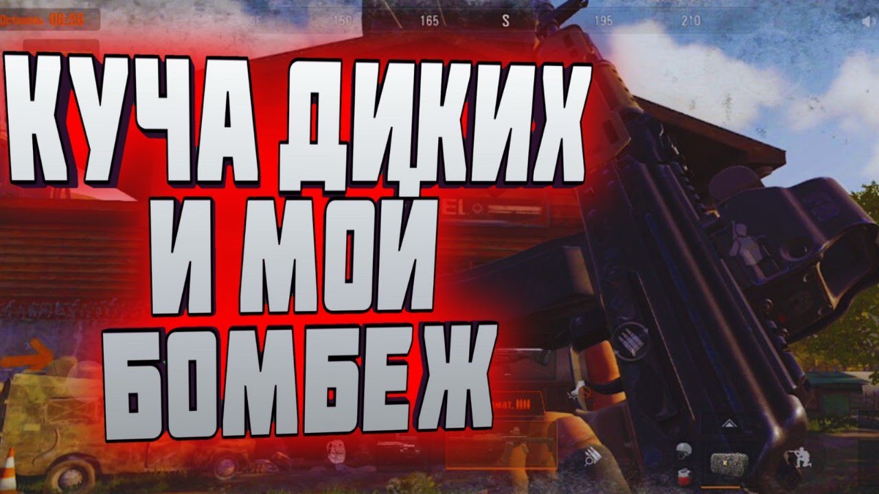 ARENA BREAKOUT! КУЧА ДИКИХ И МОЙ БОМБЕЖ!