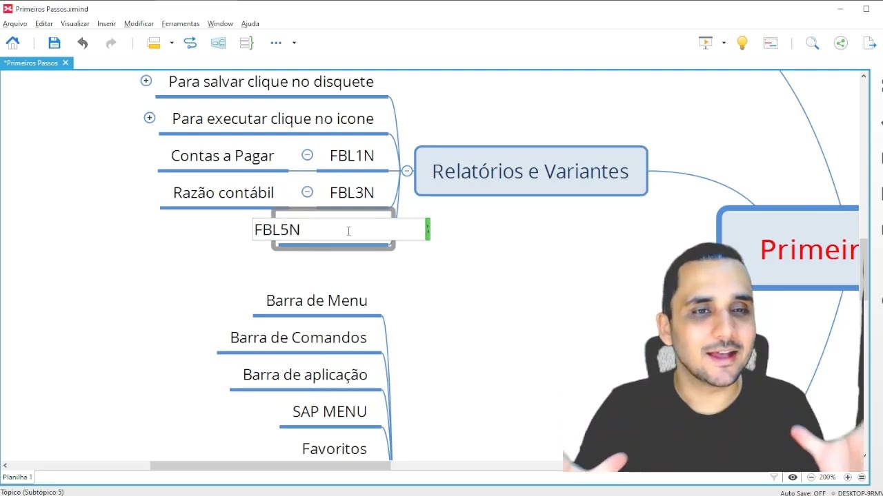 Relatórios e Variantes no SAP