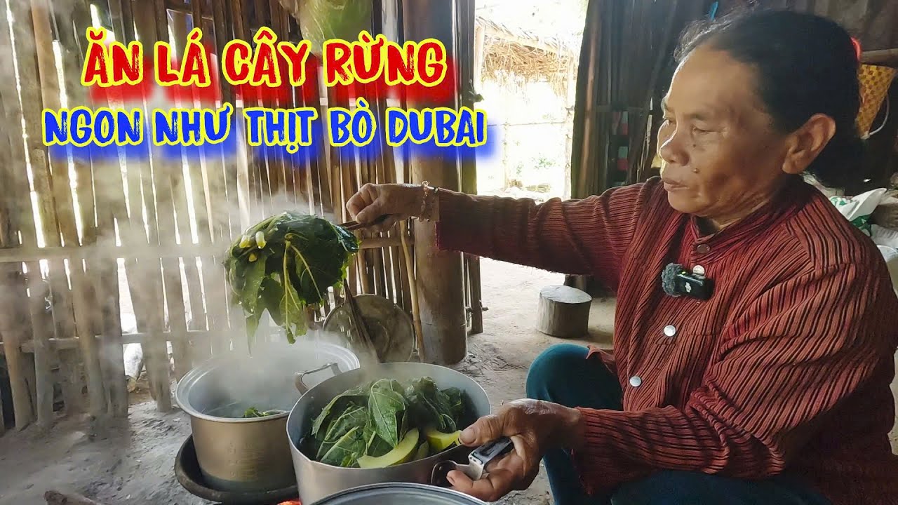 MẸ KHỔ vì con, một mình sống trong rừng, ĂN LÁ CÂY để tồn tại - tập 1388