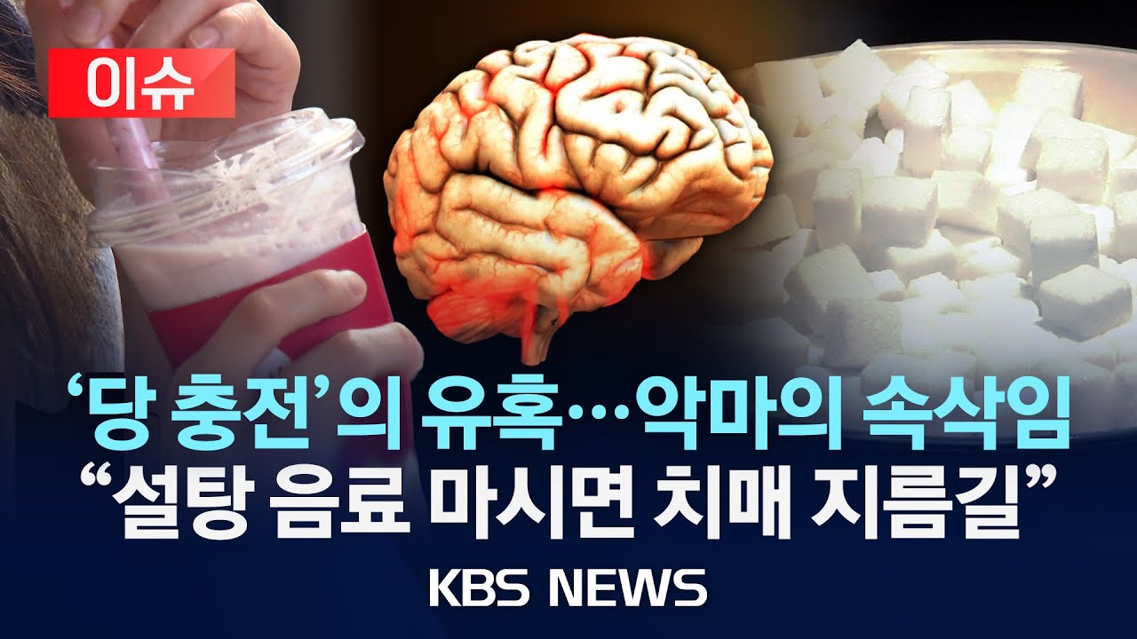 [이슈] 설탕 음료, 달다고 계속 마시다간 낭패&hellip;마실수록 치매 위험 높아진다/2026년 1월 23일(금)/KBS