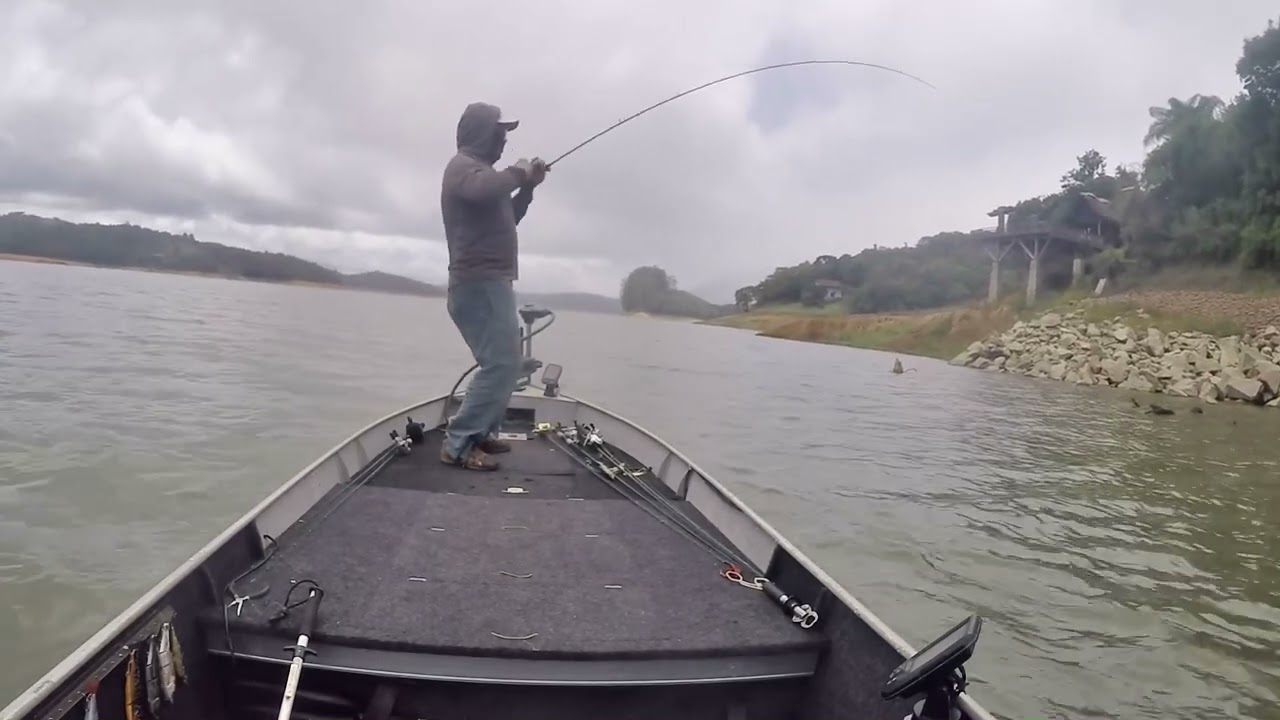 Duo Realis Onimasu glidebait catches Wolf fish @DUOJPN @duoyaizu