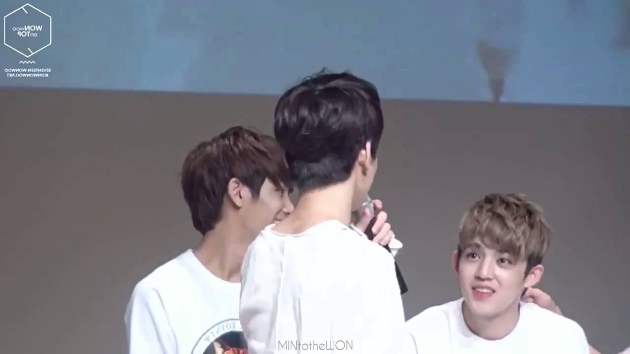 SEVENTEEN | #minwon #meanie | SAY YES - Punch #mintothewon #1