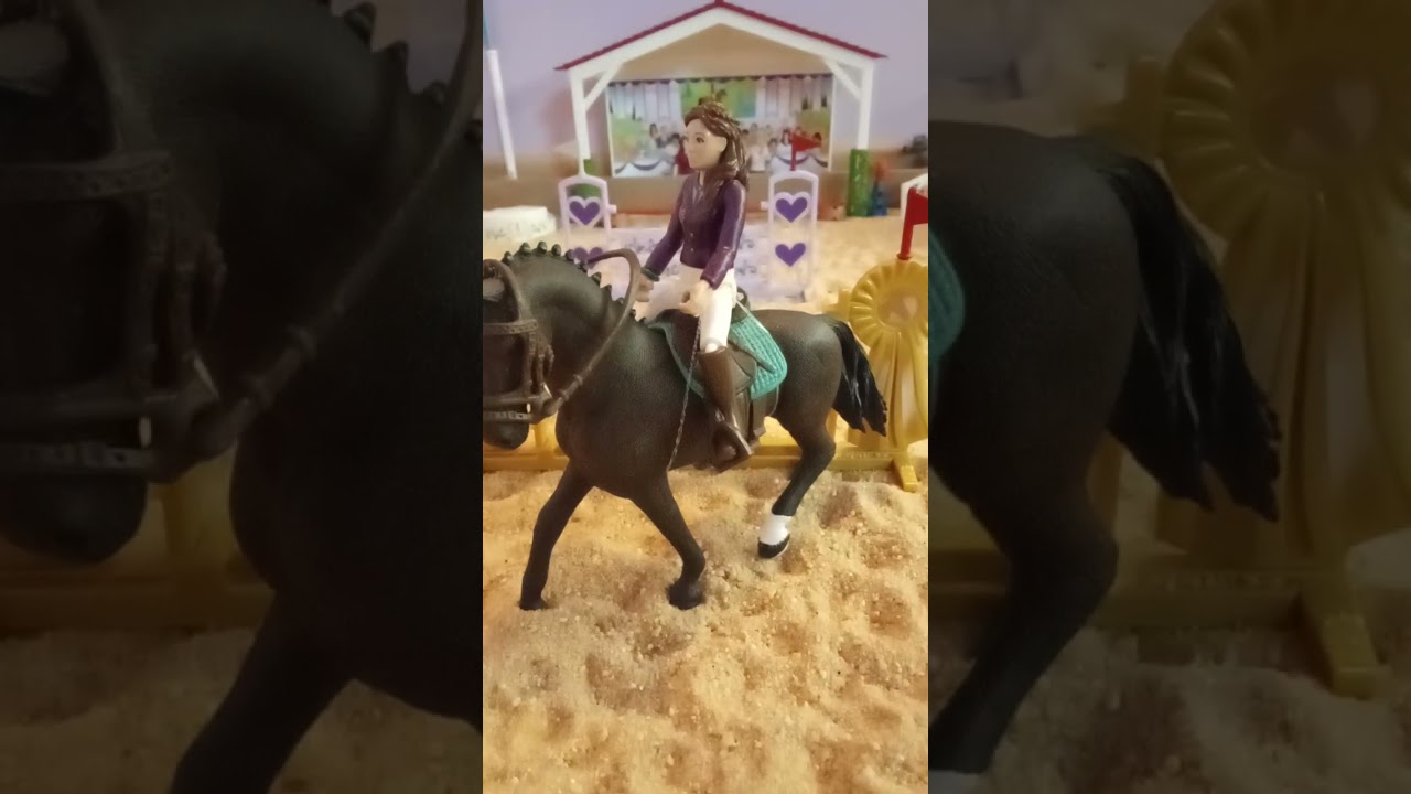 [ VLOG ] Une petite séance de saut avec Lisa 🐴