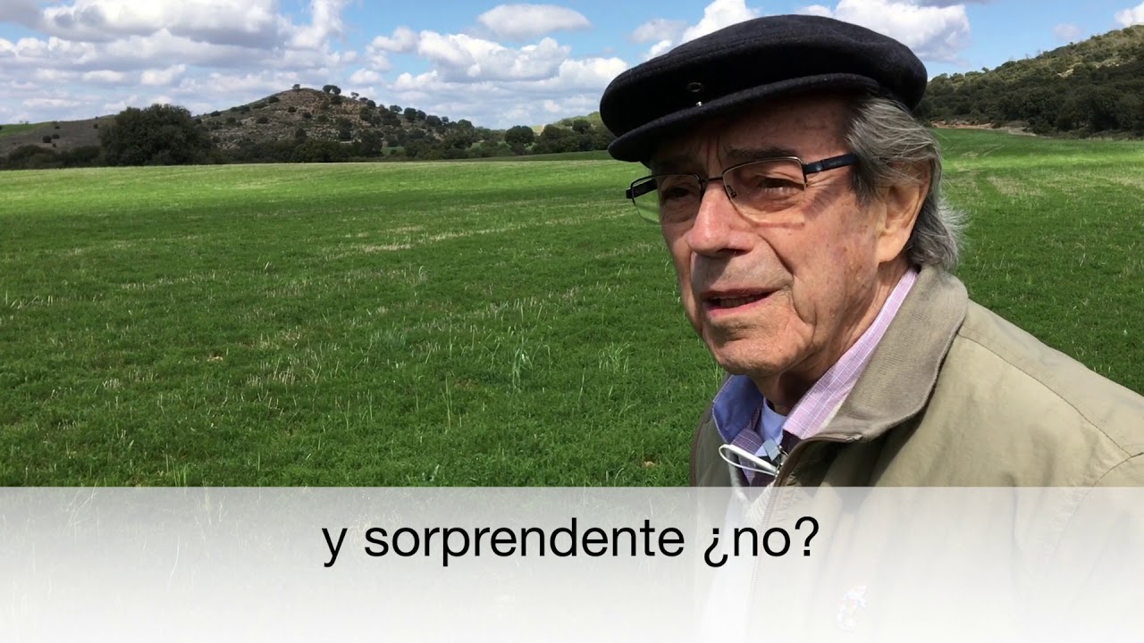 Siembra directa ecológica - primeros 4 años (Profesor Pinheiro)