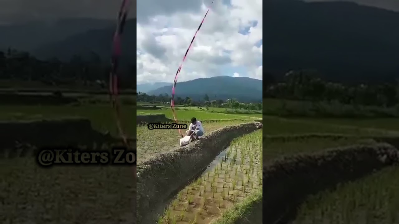 Chinese kite tradition | Snake kite | Long tail kite | kite facts #kite #kiteflying #kitelover #yt