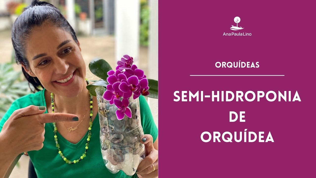 ORQUÍDEAS: Como fazer semi-hidroponia de Orquídea?