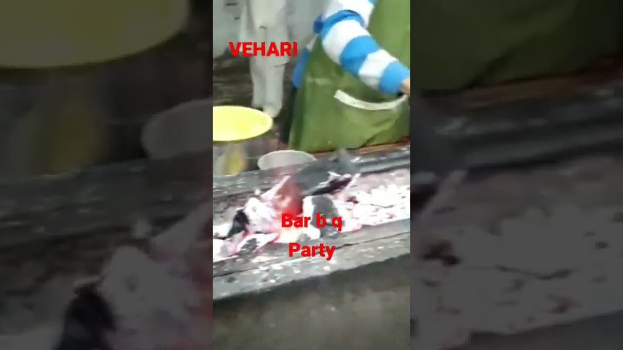 Vehari Bar b q party 🥳  .vlogs With Aneela