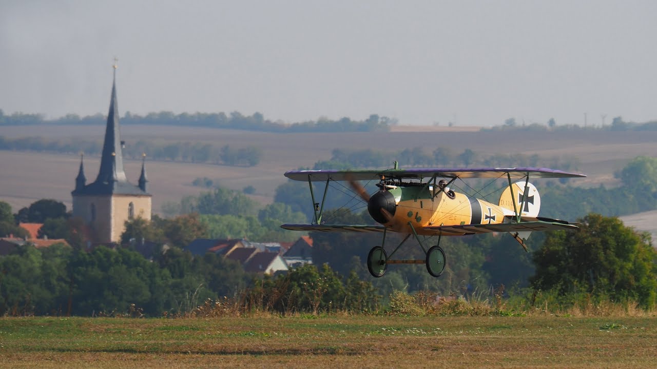 Albatros DVa