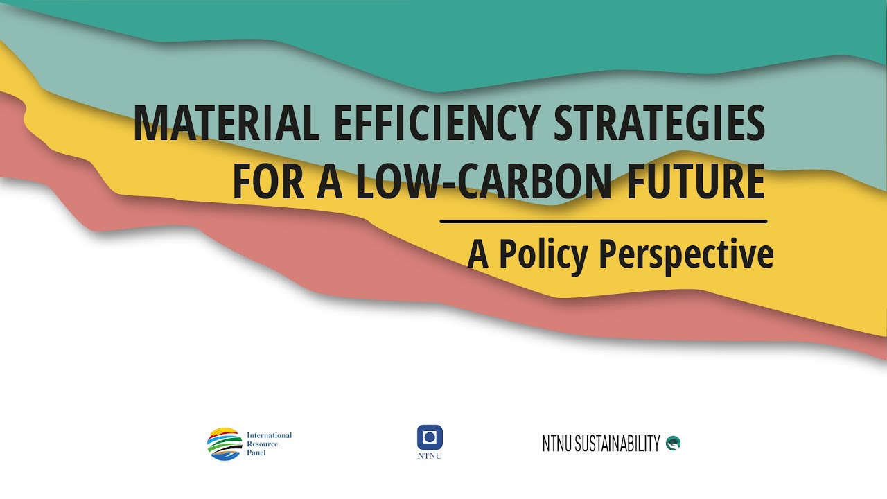 Material Efficiency Strategies for a Low-Carbon Future. A Policy Approach.