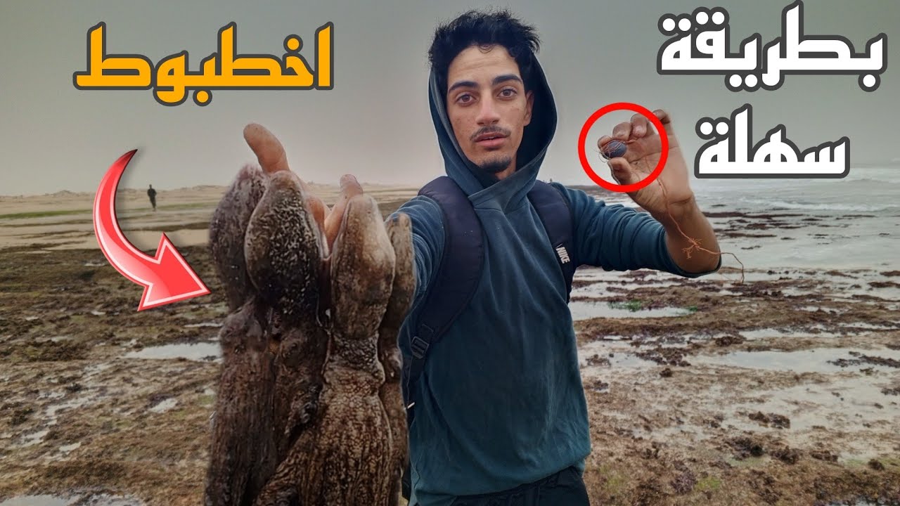 Сезон осьминога: челлендж по ловле осьминога 🐙 самым простым способом 🇲🇦