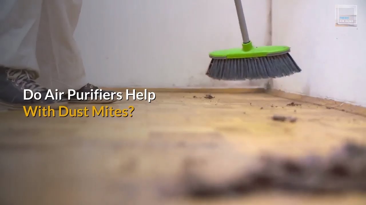 Do Air Purifiers Help With Dust Mites? 5 Tips To Kill Dust Mites Fast.