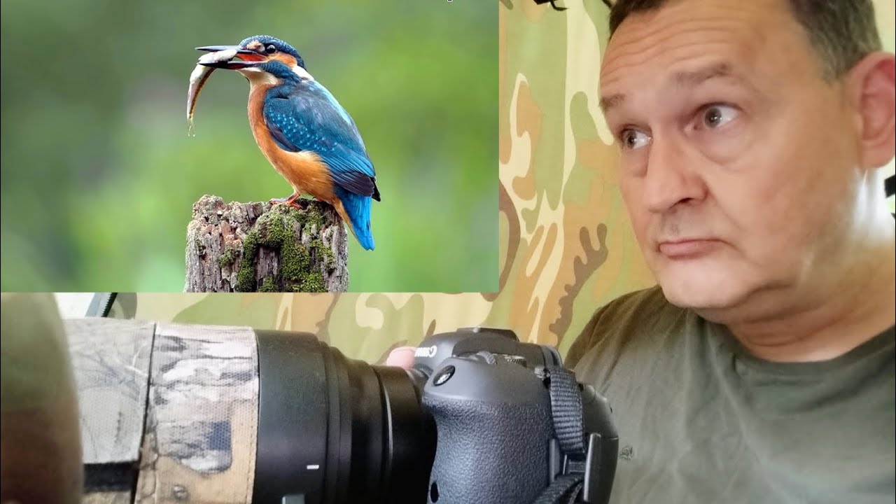 Making of zu meinem Eisvogel Projekt 