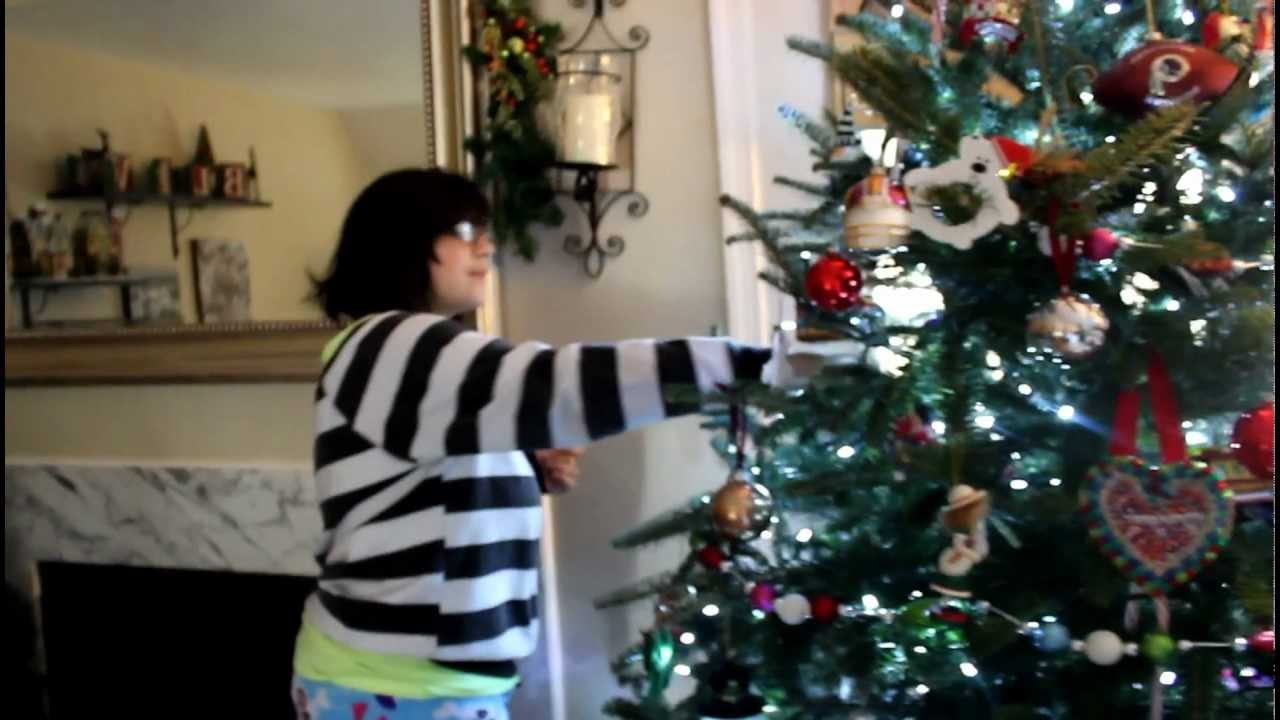 Julia's Christmas Surprise - TAYLOR SWIFT Concert Tickets in Philly!!!