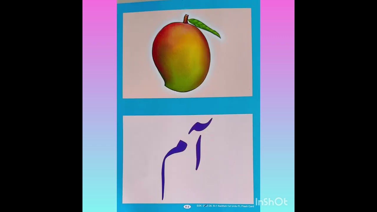 FLN TLM urdu posters usage in nali kali (1st std)