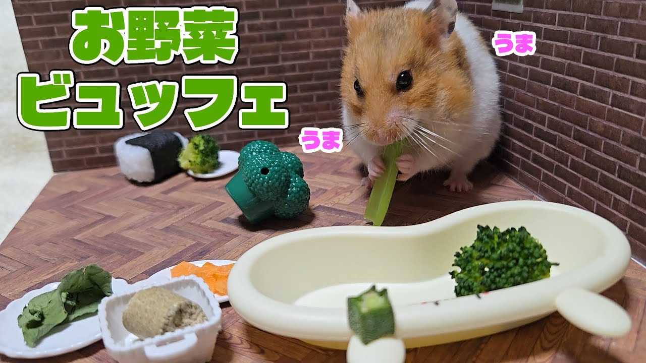 わが家のハムスターのお野菜ビュッフェ【残りはテイクアウト】
