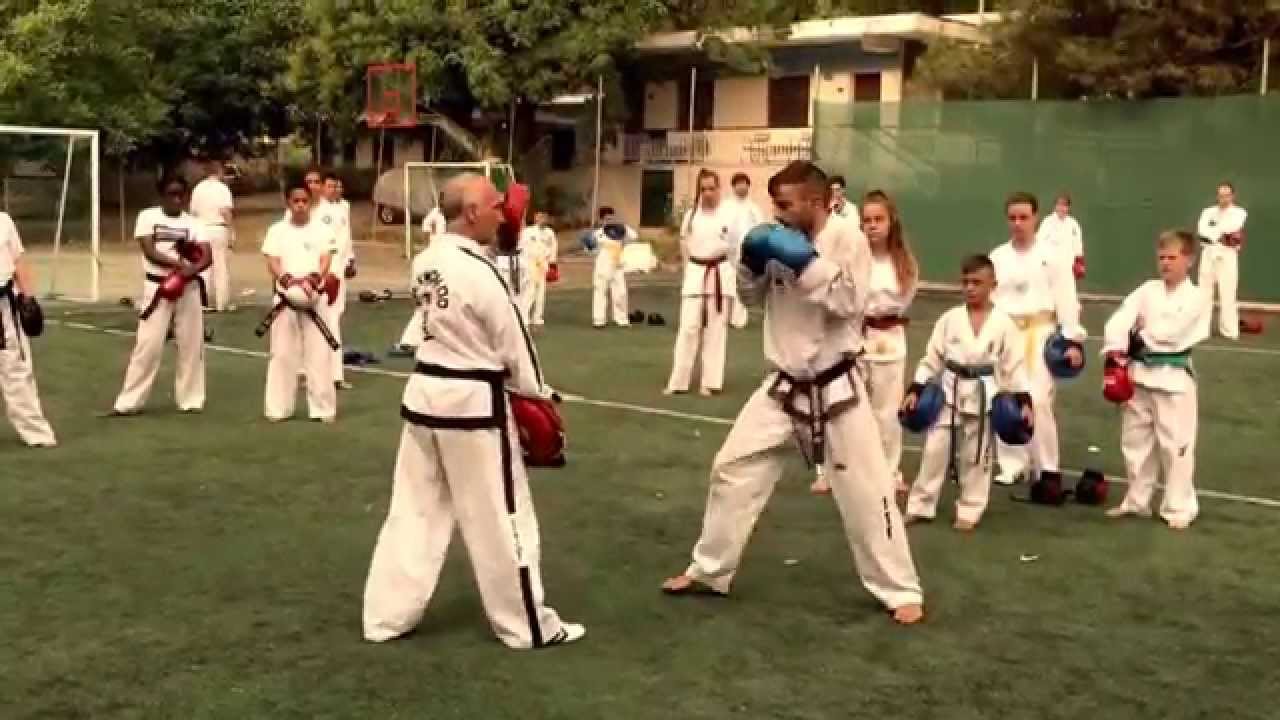 Master Vasilis Alexandris - Hand Padwork (Olympos ITF Taekwon-Do Camp 2015)