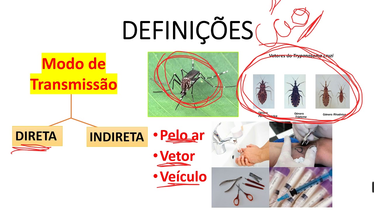 Epi Doenças Transmissíves parte 1