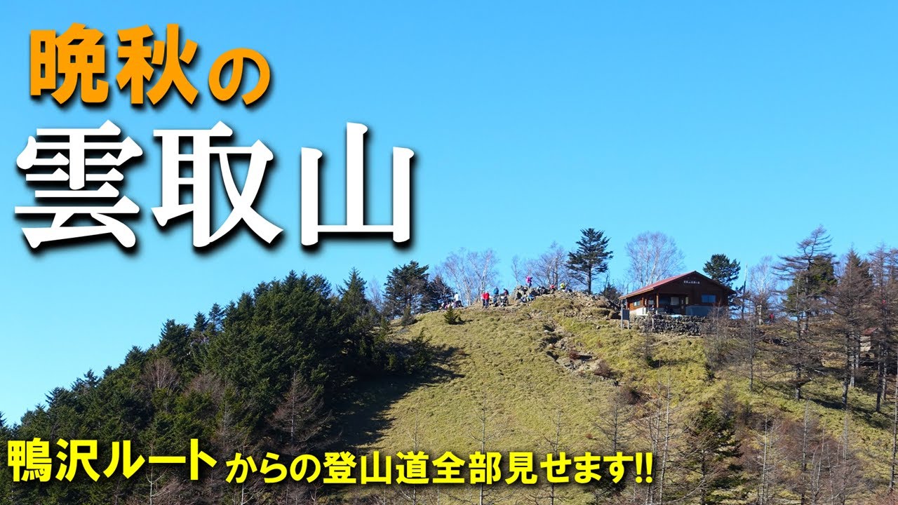 【登山体験】雲取山、秋晴れの鴨沢ルートを日帰りで登ってきた！／鴨沢ルートの登山道全部見せます！／2023/11