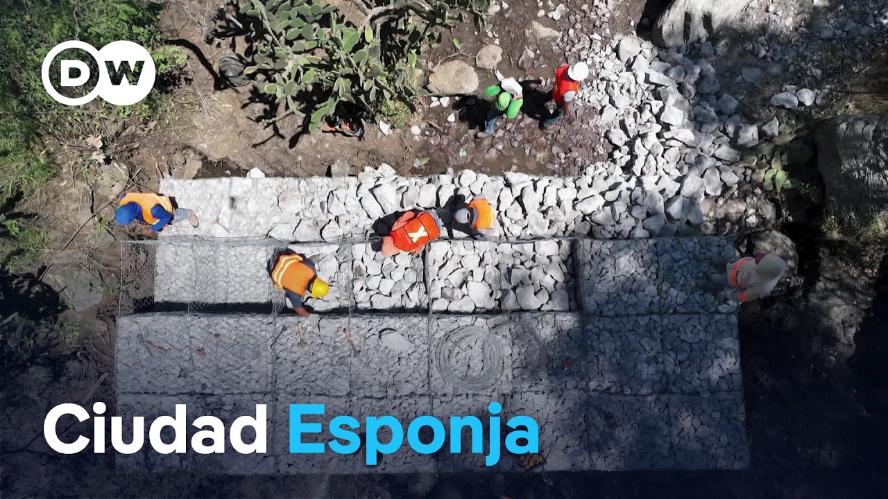 Ciudad de México: estrategias para gestionar mejor el agua de lluvia