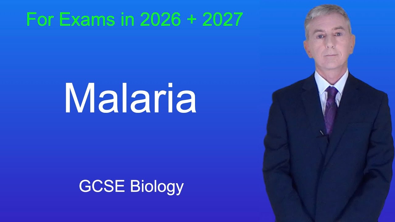 Powt&oacute;rka z biologii GCSE &bdquo;Malaria&rdquo;