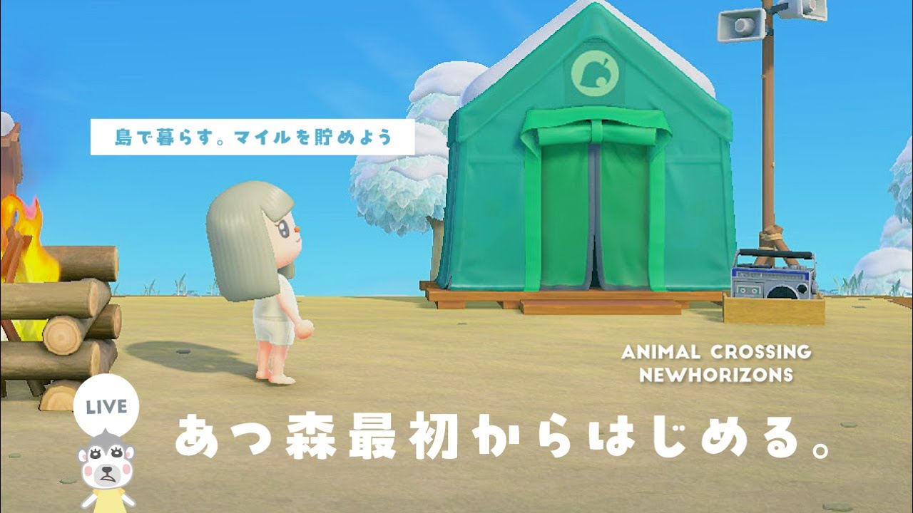 【あつ森配信】たぬきちに渡すマイルを貯めよう！Switch2であつ森を最初からはじめる！