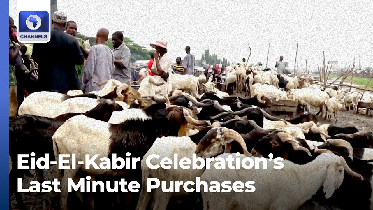 Eid-El-Kabir: Muslims Faithful Make Last Minute Purchases At Kara Cattle Market Amid Rising Prices