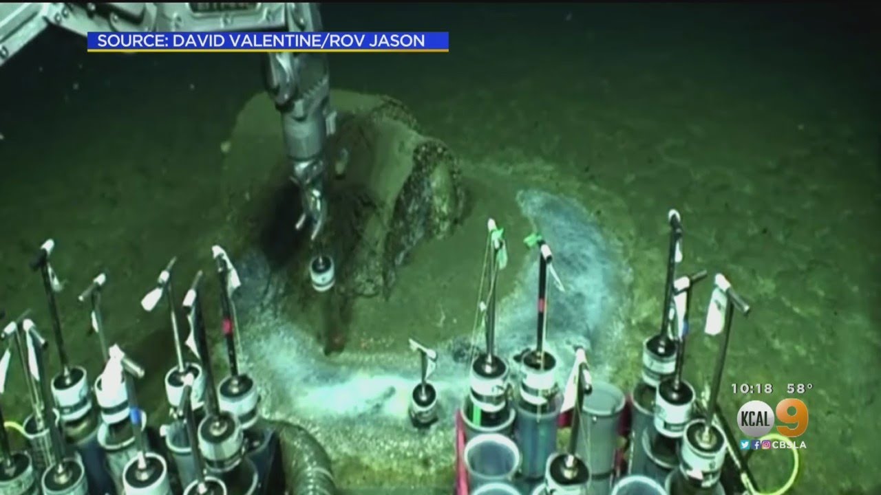 Massive Chemical Dumping Ground For DDT Just 10 Miles Off The Coast of Los Angeles