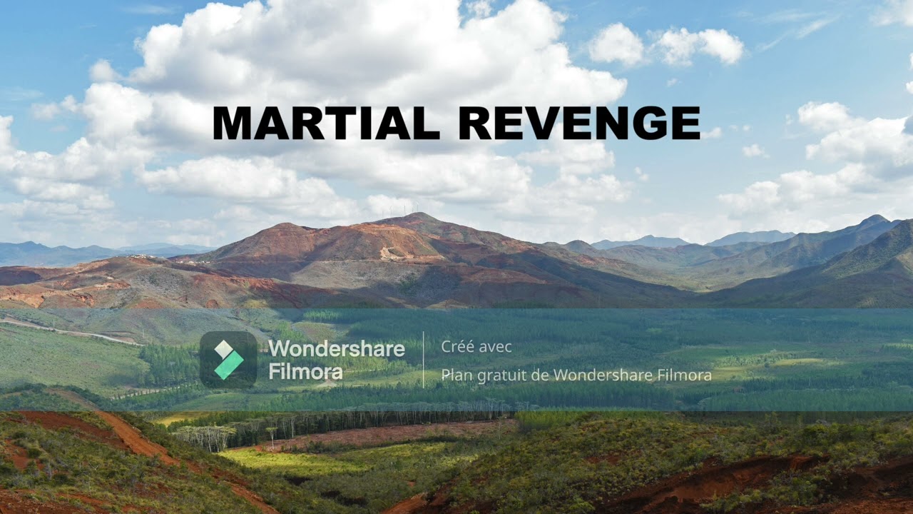 Martial Revenge