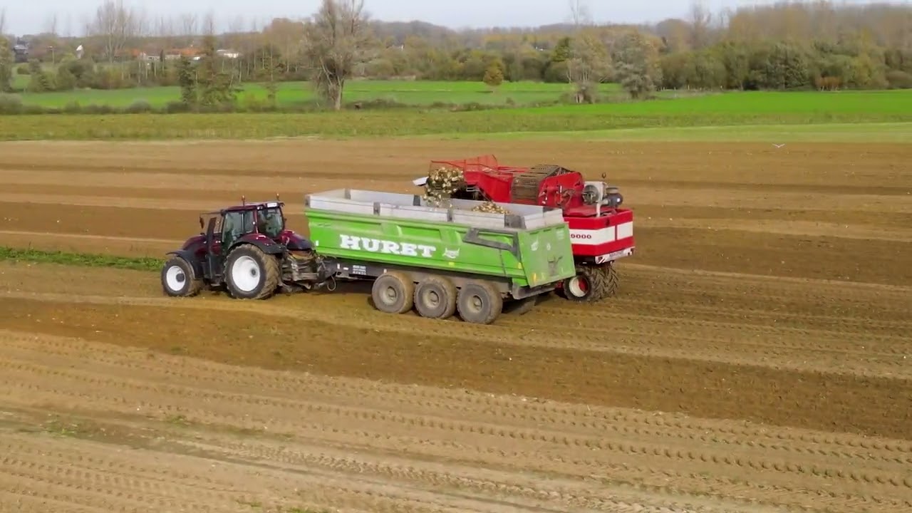 Arrachage de betterave avec une Agrifac WKM 9000