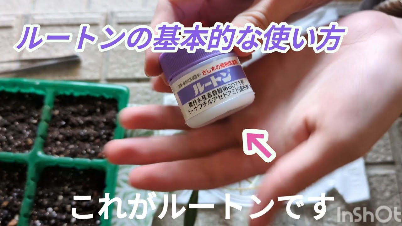 ルートンの使い方 コツ 注意点 解説