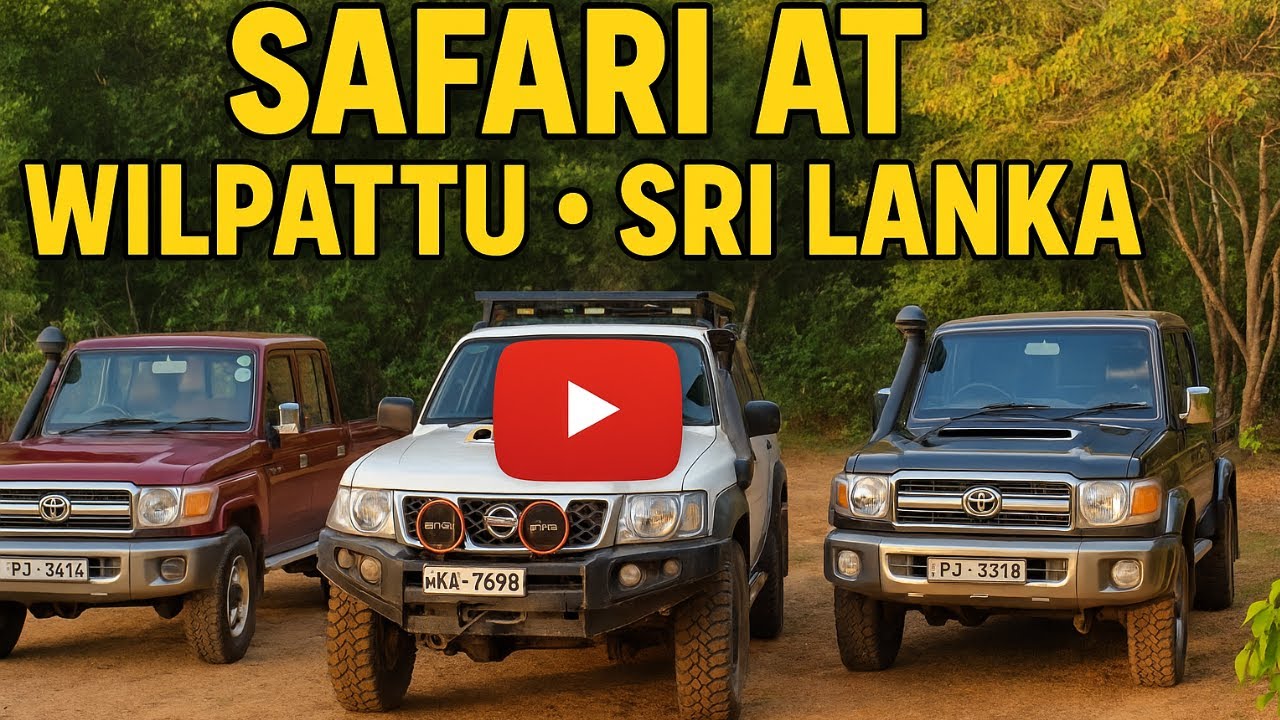 Wilpattu National Park | Staying at Lunu Wewa Bungalow (ලුණු වැව බංගලාව)