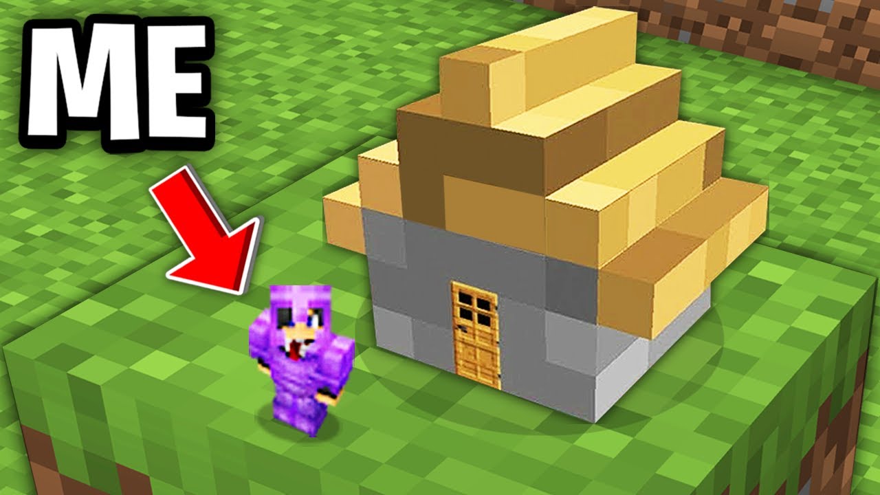 Minecraft, But You Get Smaller...