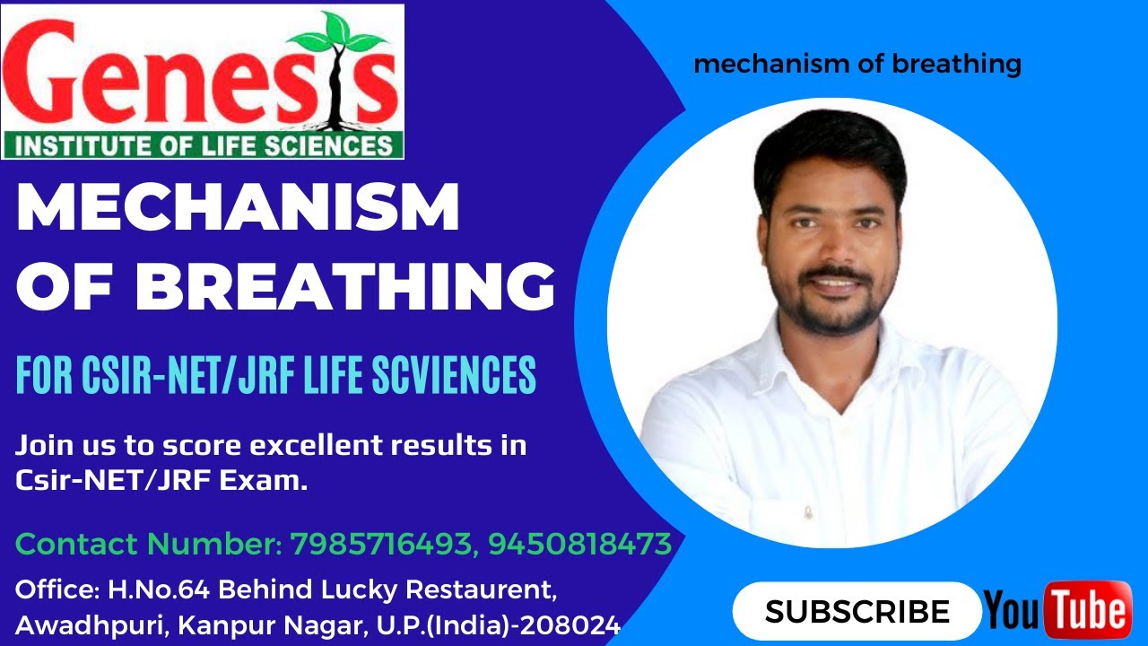#𝐌𝐞𝐜𝐡𝐚𝐧𝐢𝐬𝐦 𝐨𝐟 𝐁𝐫𝐞𝐚𝐭𝐡𝐢𝐧𝐠 | 𝐑𝐞𝐬𝐩𝐢𝐫𝐚𝐭𝐢𝐨𝐧 | 𝐁𝐫𝐞𝐚𝐭𝐡𝐢𝐧𝐠 | 𝐀𝐧𝐢𝐦𝐚𝐥 𝐏𝐡𝐲𝐬𝐢𝐨𝐥𝐨𝐠𝐲 |𝐂𝐒𝐈𝐑-𝐍𝐄𝐓/𝐉𝐑𝐅 |𝐆𝐀𝐓𝐄 | 𝐈𝐈𝐓-𝐉𝐀𝐌|