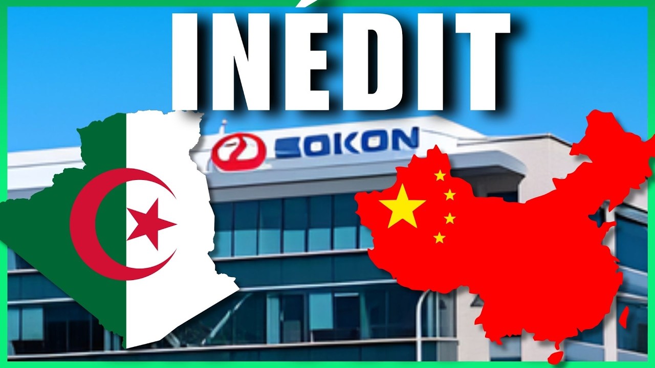 Alg&eacute;rie  le constructeur chinois lance son usine de fabrication de v&eacute;hicules