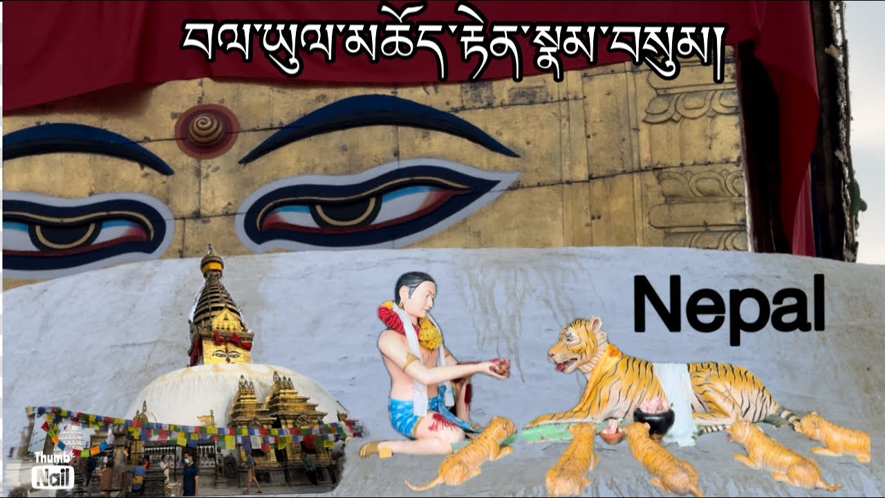 Three holy￼￼place in Nepal||must visit||tibetan vlogger||bir||￼ travel||india||