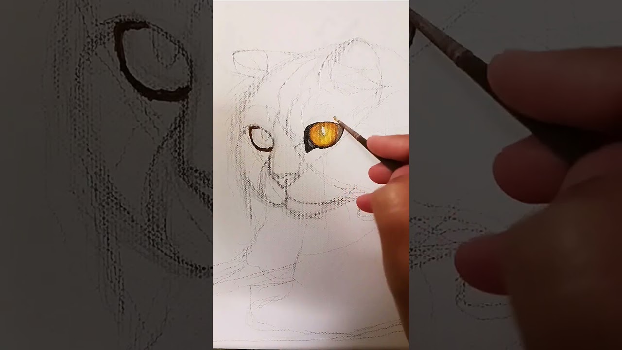 From Sketch to Soulful Stare: This Video Shows How to Paint Realistic Cat Eye Painting in Acrylic