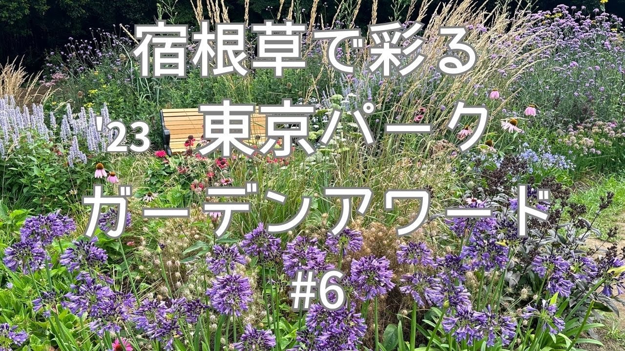 【代#6】梅雨のナチュラルガーデン🌺プロに学ぶ多年宿根草✨テーマはロングライフ・ローメンテナンス☘️第一回東京パークガーデンアワード2023年6月29日