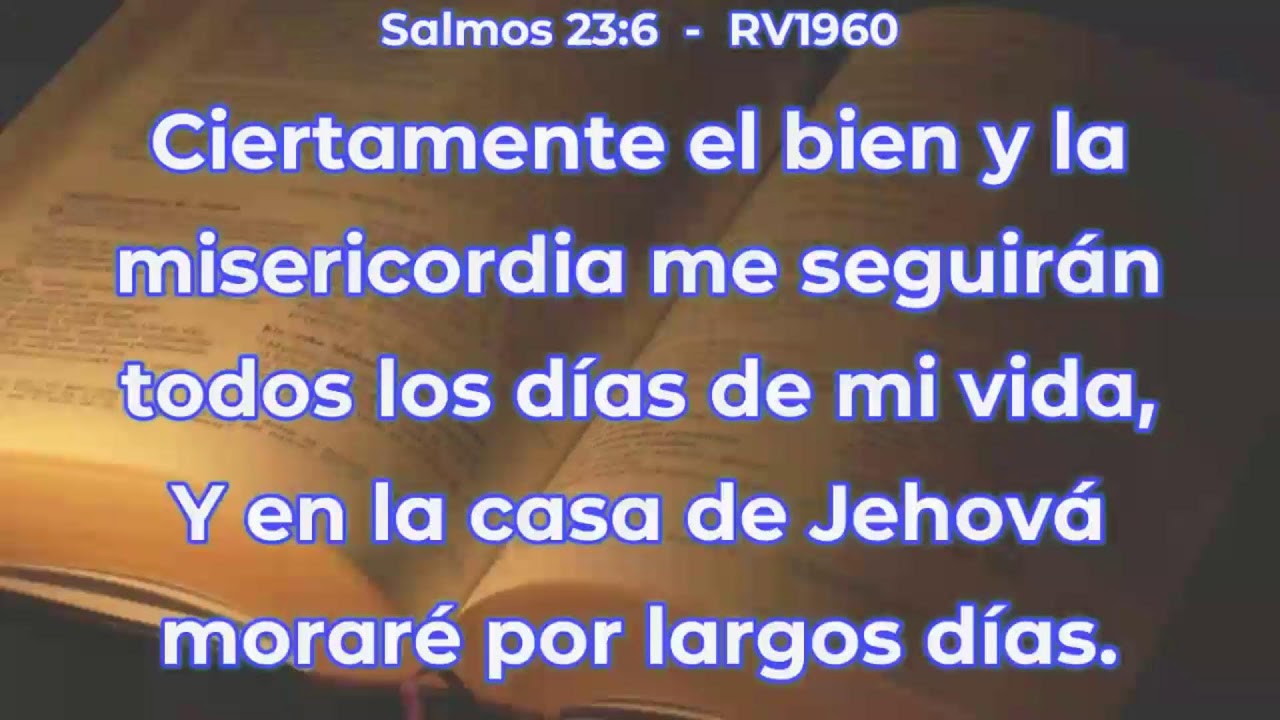 Culto monte Sinaí II