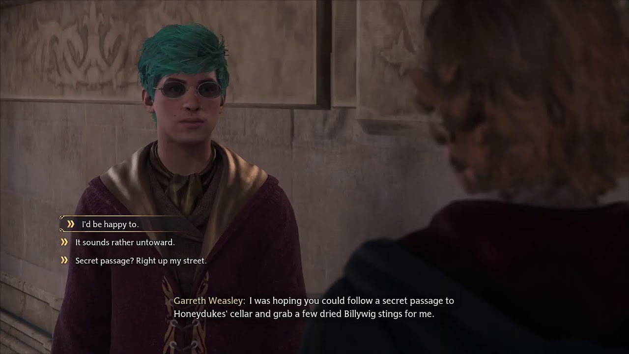 Hogwarts Legacy -  Steegardův Stream pro mou Královnu a nejbližší