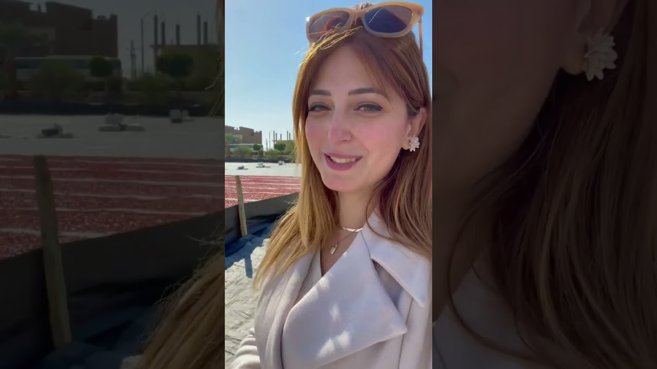 أول مرة اشوف منشر الطماطم في مصر و بيلف العالم كمان  ( الأقصر )