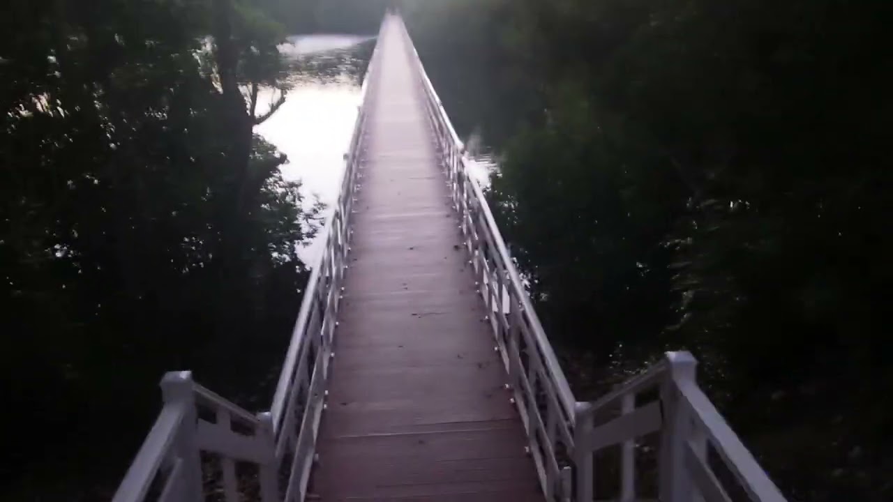 PARADISUS RIO: CUBA WALKING TOUR