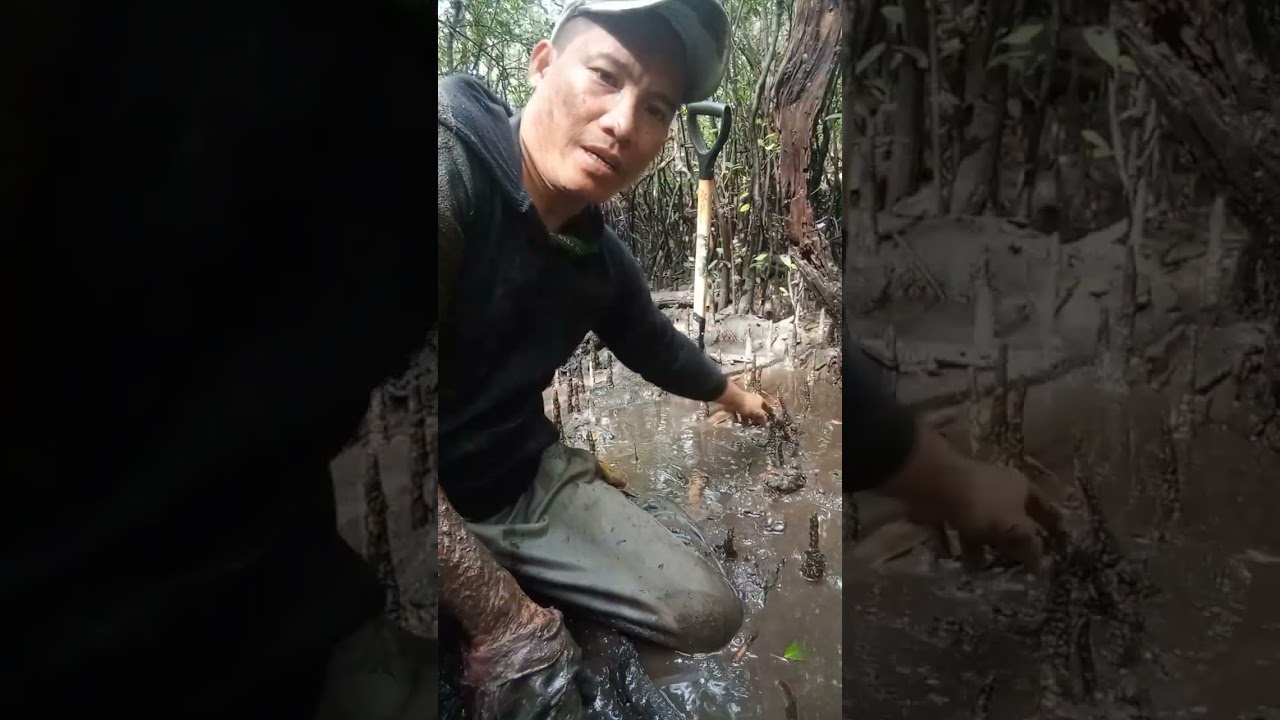 Ito jackpot sa alimango.
