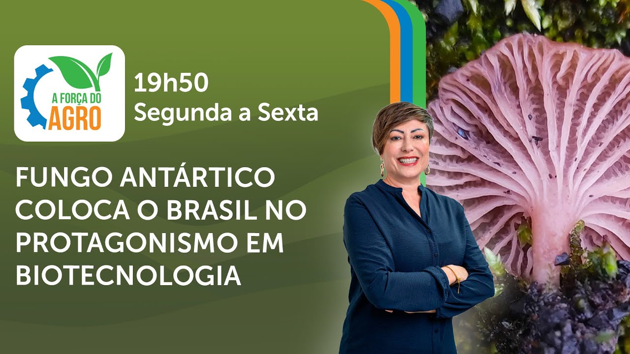 AFA, com Joice Maffezzolli - Fungo Antártico coloca o Brasil no protagonismo em biotecnologia