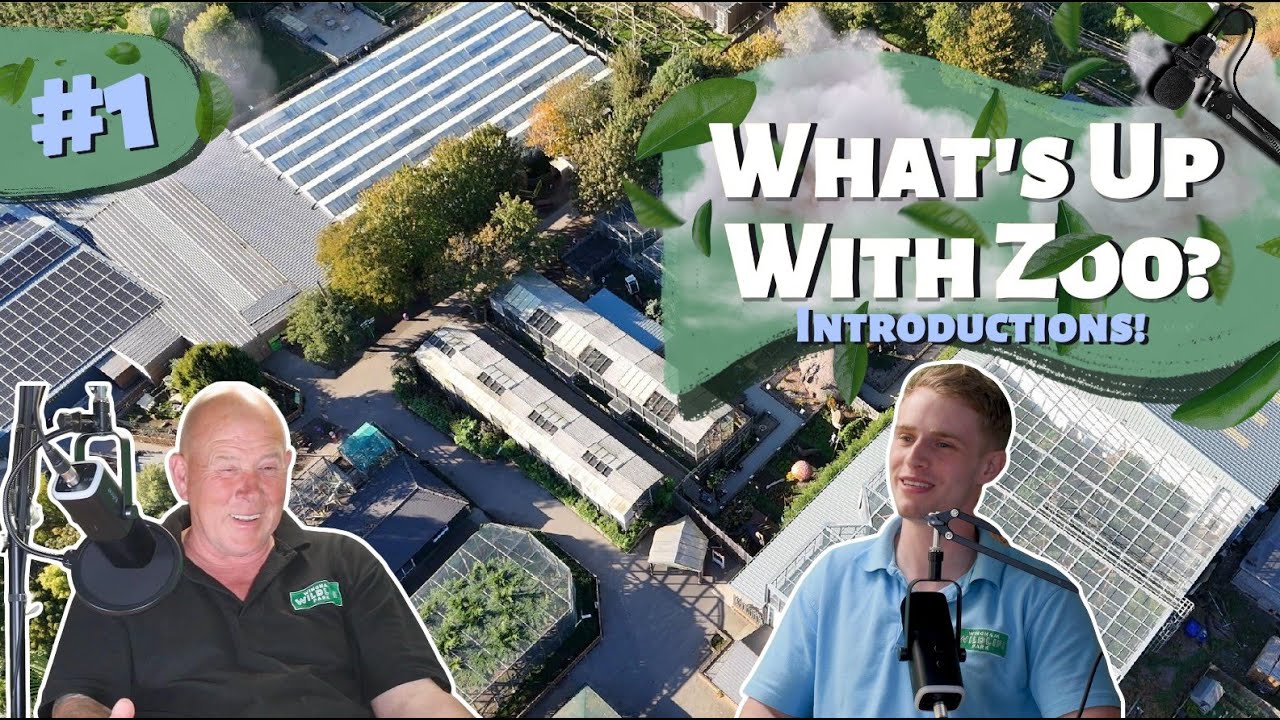 Park Introductions with TIKTOK TONY! | WHAT’S UP WITH ZOO |PODCAST EPISODE 1
