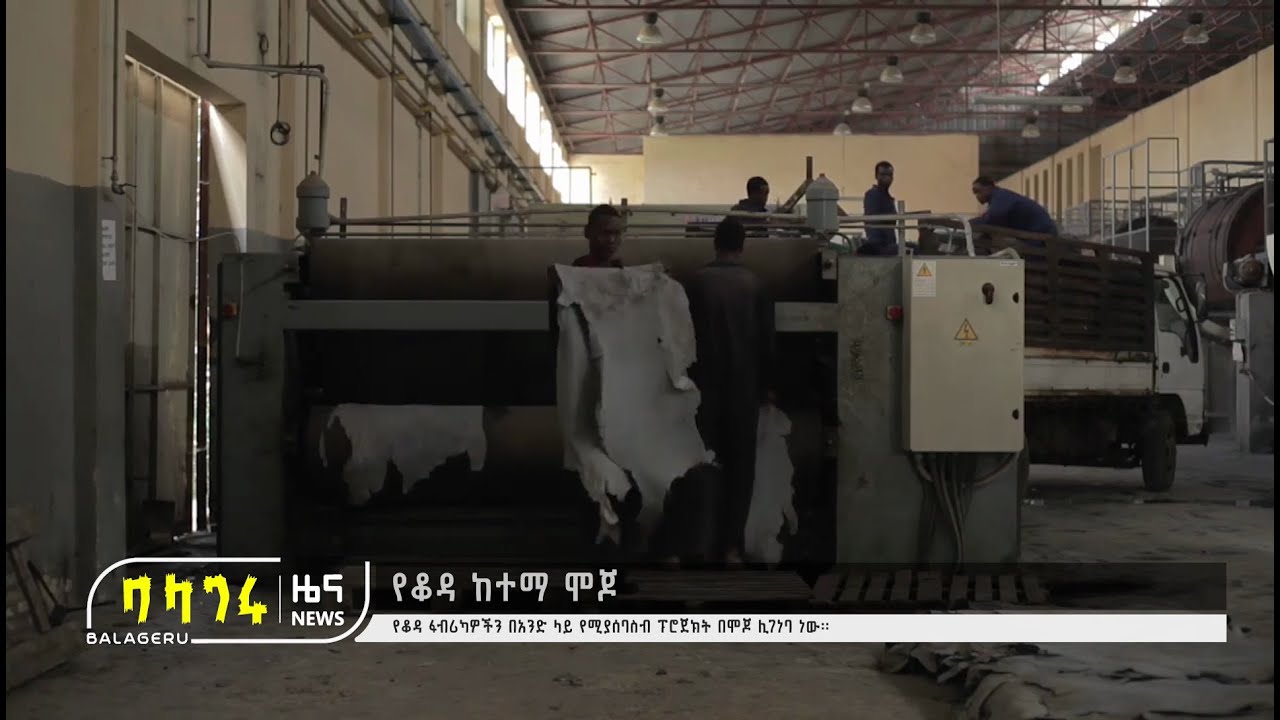 የቆዳ ከተማ ሞጆ