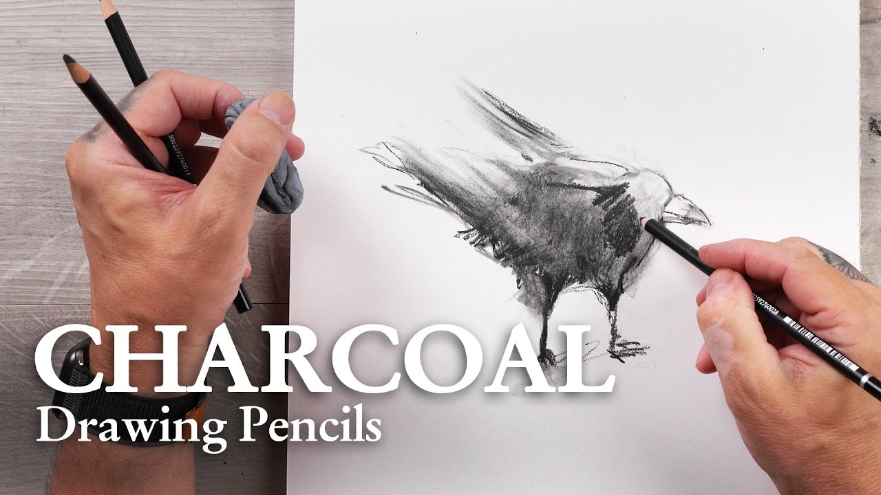 CRETACOLOR | CHARCOAL | Fine Art Charcoal Pencils | CROW